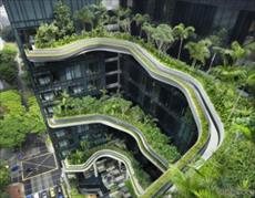 پاورپوینت طراحی و اجرای طبيعت سبز در معماري (33 اسلاید)