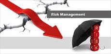 پاورپوینت مدیریت ریسک و مهندسی ارزش (26 اسلاید)