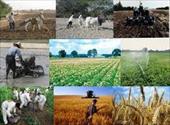 پروژه ی تعاونی کشاورزی